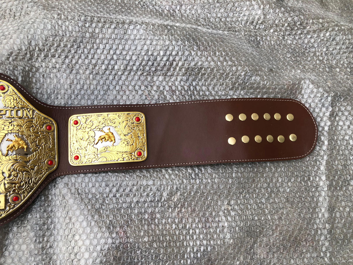 WCW Big Gold Dual Plated Championship Replica Title Belt - THE BELTS BROTHERS LTD